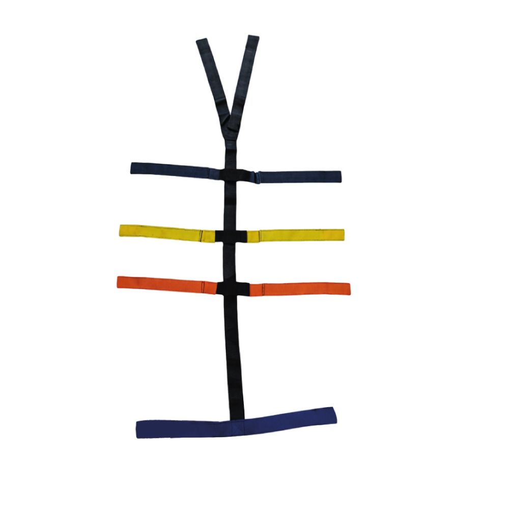 Correa Spider